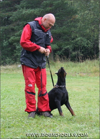 Summer training camp in Finland 2007